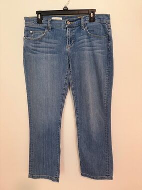 *LIKE NEW* Pilcro and the Letterpress No 30 Low Rise Straight Jeans PETITE